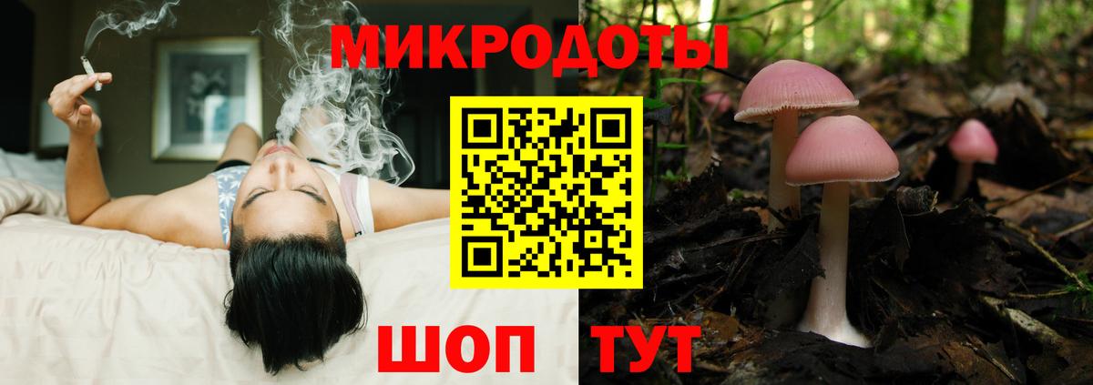 Галлюциногенные грибы Magic Shrooms Вольск
